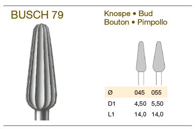 Busch Knospe 79